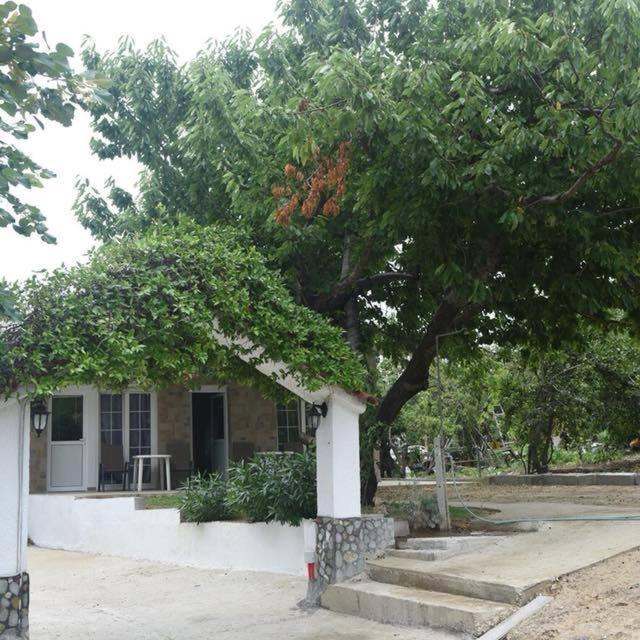 Villa Leonidas Koutsoupia Kókkinon Nerón Zewnętrze zdjęcie